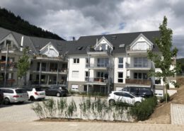 riesterer-maler_assade_Mehrfamilienhaus